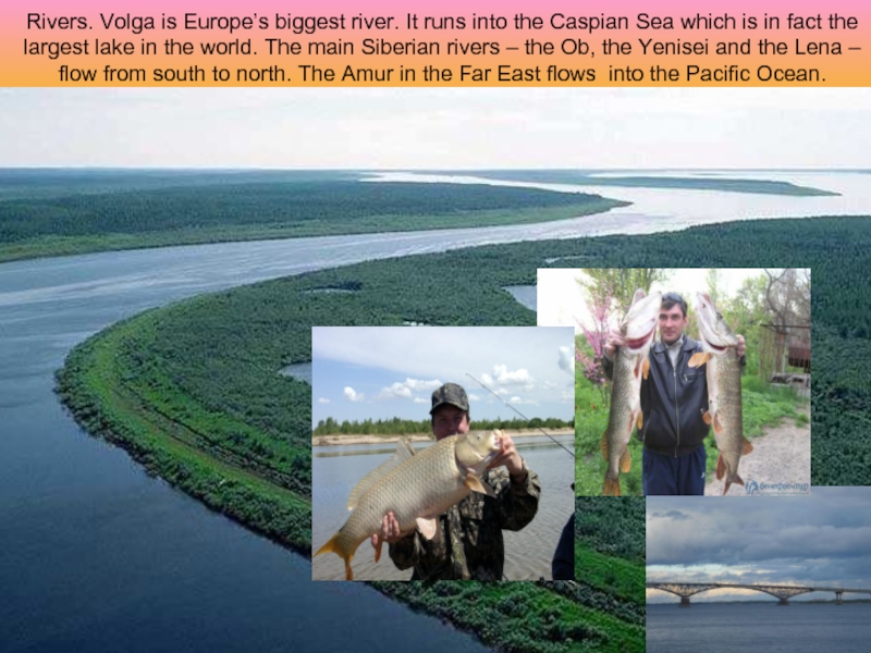 Река волга на английском. Volga River презентация на английском. Volga Runs into Caspian Sea. Проект по английскому 6 класс на тему the Volga River. The River Volga is Russia's main River.