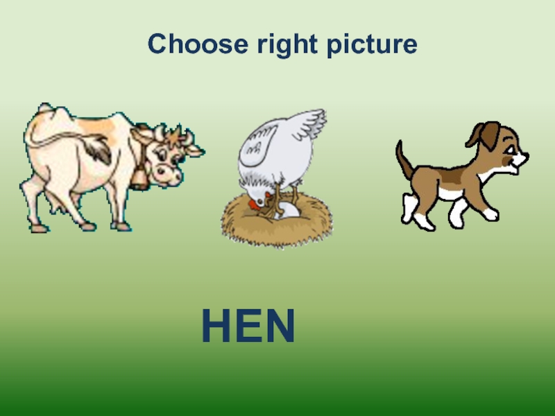 Choose the right picture. A Hen picture with the Words.