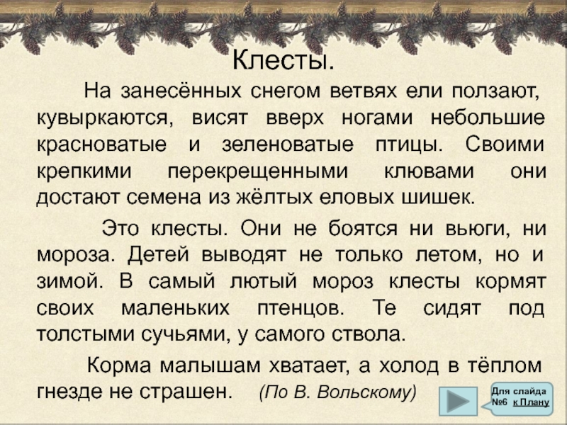 Изложение текст природа. Изложение 3 класс 2 четверть школа России клесты. Изложение клесты. Клесты изложение 3 класс. Клесты изложение 3 класс текст.