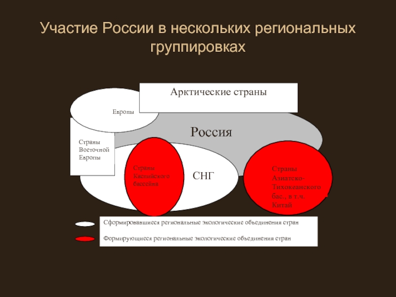 Реферат: Участие России в деятельности международных природоохранных организациях