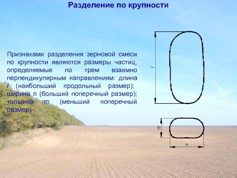 Продольный размер. Разделение по крупности. Продольный диаметр. Теория разделения по крупности. Теория разделения по крупности материала.