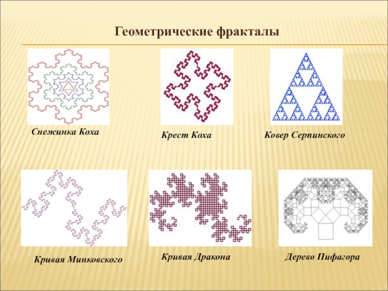 Презентация кривые дракона наглядная геометрия 6 класс