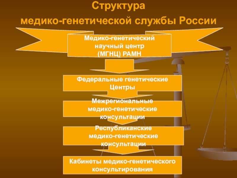 Организация медико. Медико генетические службы структура. Структура медико генетического консультирования. Структура медико генетической консультации. Организация медико-генетической службы в России.