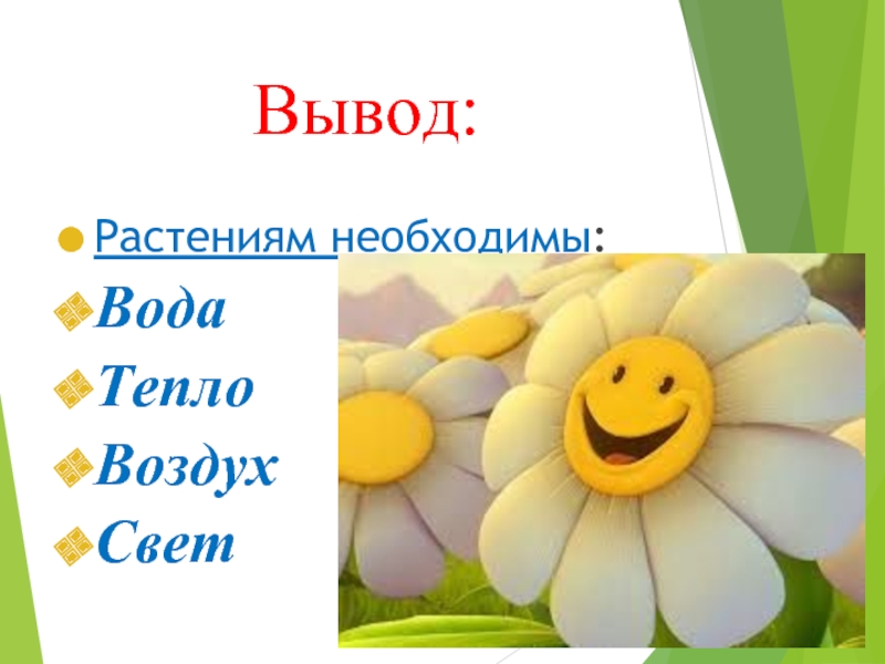 Цветов вывод. Как живет растение вывод. Как вывести цветка. Цветок на земле вывод. Как живут растения вывод 1 класс.