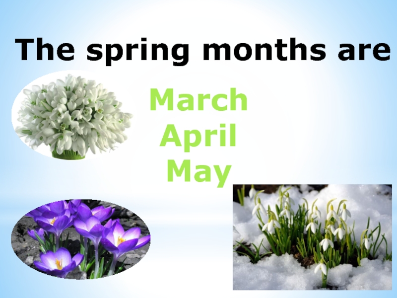 Are april and may spring. Март апрель май английский. Spring months. Spring месяца. Spring March April May.