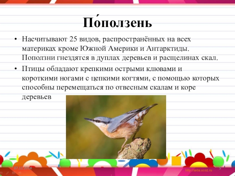 4 птицы текст. Изложение 4 класс Сладков поползень. Изложение 4 класс н.Сладков поползень. Изложение Скалистый поползень Сладков 4 класс. Изложение поползень.