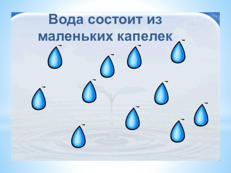 Проект волшебная водица