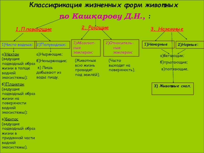 Таблица жизненной формы. Жизненные формы по Кашкарову таблица. Классификация жизненных форм животных. Классификация жизненных форм животных по Кашкарову.