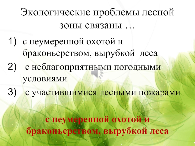 Экологические проблемы лесной. Проблемы лесных зон. Экологические проблемы лесных зон. Проблемы зоны лесов. Экологические проблемы Лесной связаны связаны.