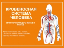 Кровеносная система человека (4 класс)