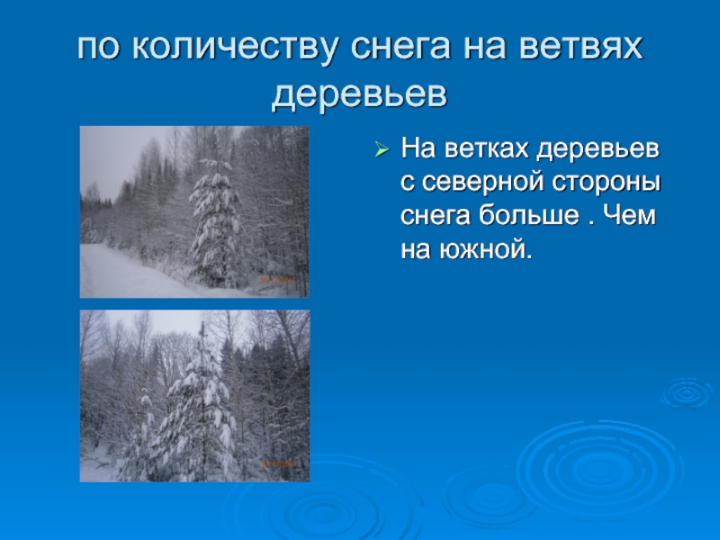 по количеству снега на ветвях деревьевНа ветках деревьев с северной стороны снега больше . Чем на южной.