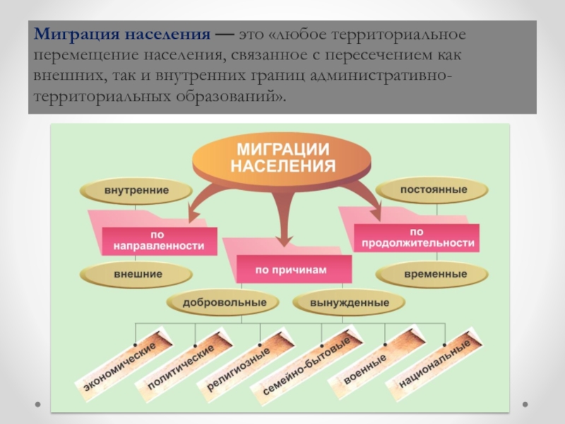 Города центры миграции