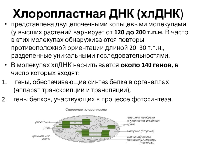 Курсы молекулярной биологии