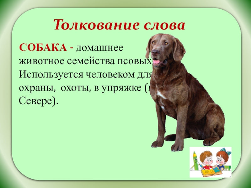 Толкование слова  СОБАКА - домашнее животное семейства псовых. Используется человеком для охраны, охоты, в упряжке (на