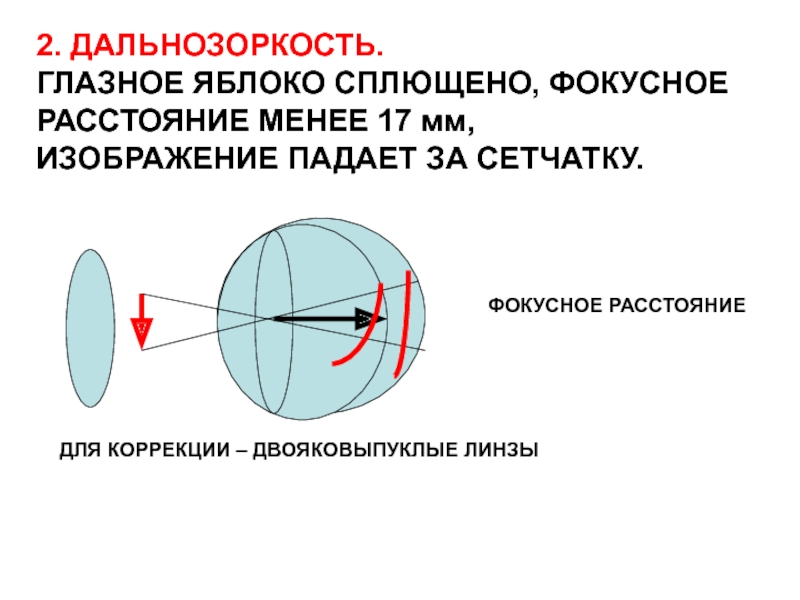 Изображение в двояковыпуклой линзе