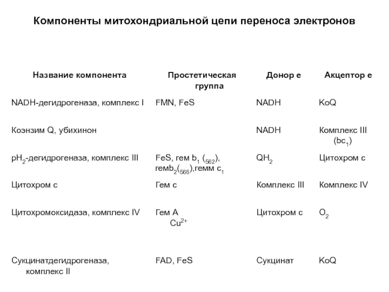 Цепи переноса. Компоненты митохондриальной цепи переноса электронов таблица. Цепь переноса электронов (ЦПЭ). Ферментные комплексы цепи переноса электронов. Структурная организация цепи переноса электронов.