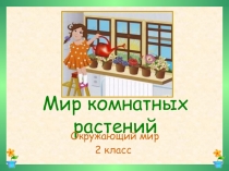 Мир комнатных растений