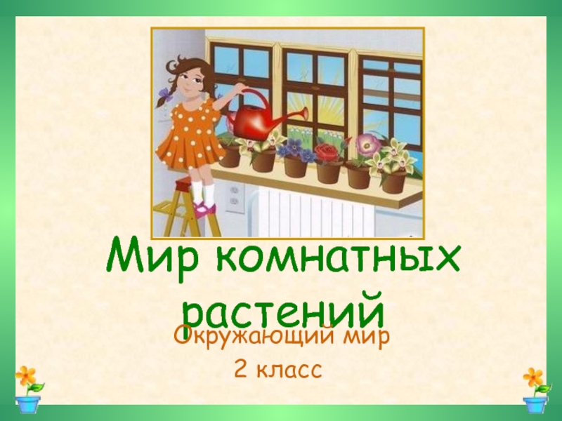 Презентация Мир комнатных растений