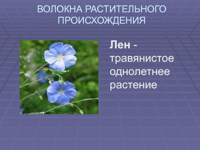 Волокна растительного происхождения ткани