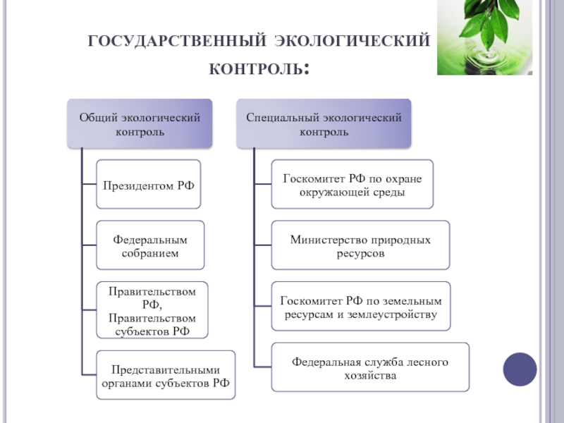 Схема экологического мониторинга