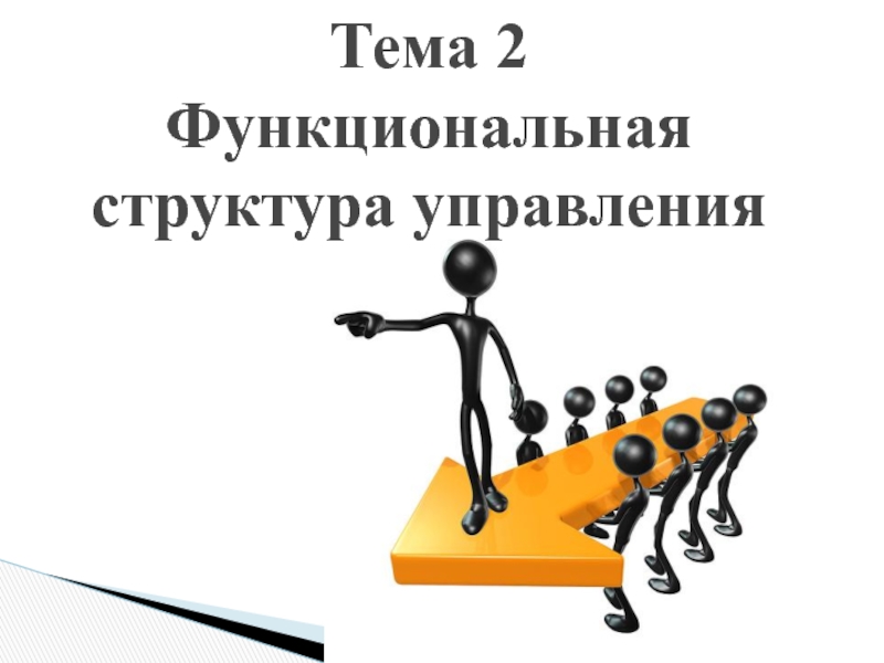 Тема 2 Функциональная структура управления