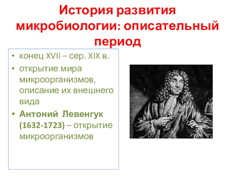 Кто первым увидел и описал микроорганизмы