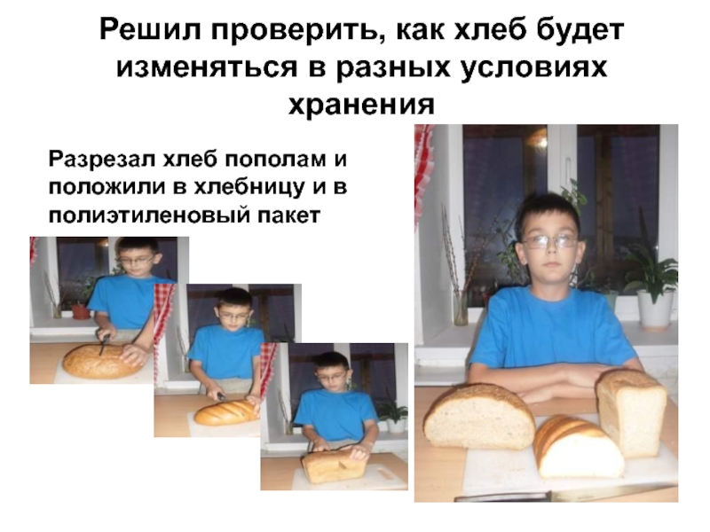 Решил проверить, как хлеб будет изменяться в разных условиях храненияРазрезал хлеб пополам и положили в хлебницу и