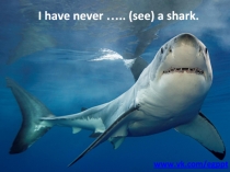 I have never ….. (see) a shark.
www.vk.com/egppt
