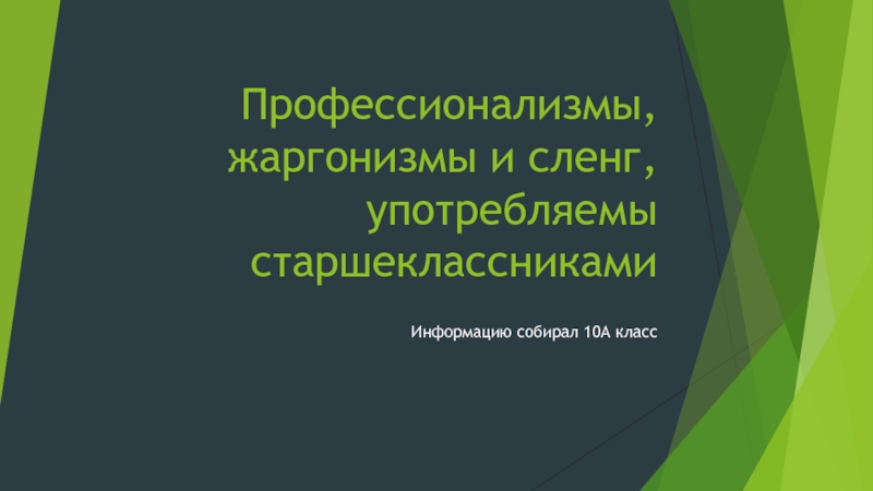 Презентация Профессионализмы, жаргонизмы и сленг, употребляемы старшеклассниками