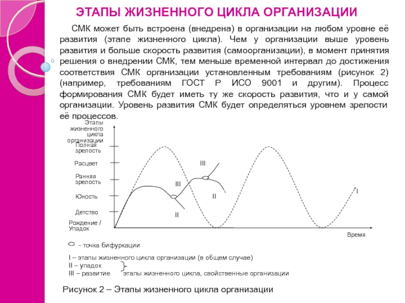 Жизненный этап 3. Уровни развития организации. Жизненный цикл организации рождение детство Юность зрелость. Этап жизненного цикла организации детство и Юность. Жизненный цикл организационной культуры.