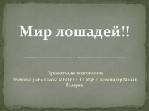 О лошадях