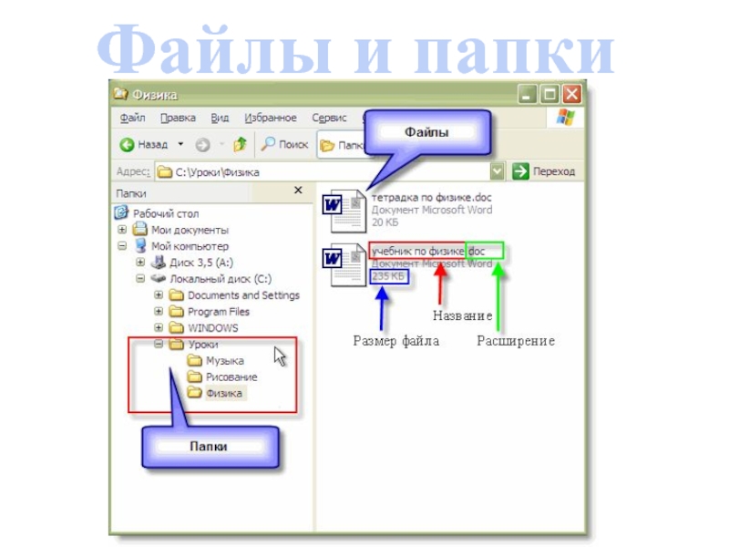 Компьютер файл. Файлы на компьютере. Папка с файлами. Папка с файлами на компьютере. Форматы папок на компьютере.