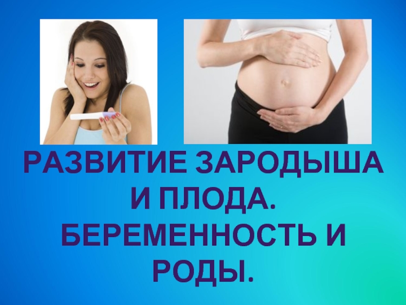 Презентация Развитие зародыша и плода. Беременность и роды