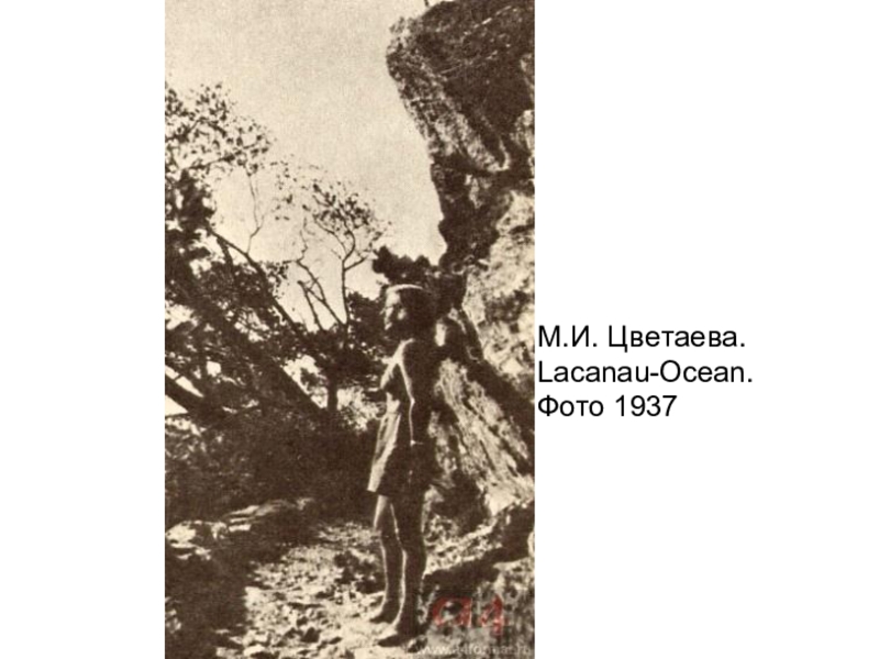                                                 М.И. Цветаева. Lacanau-Ocean. Фото 1937