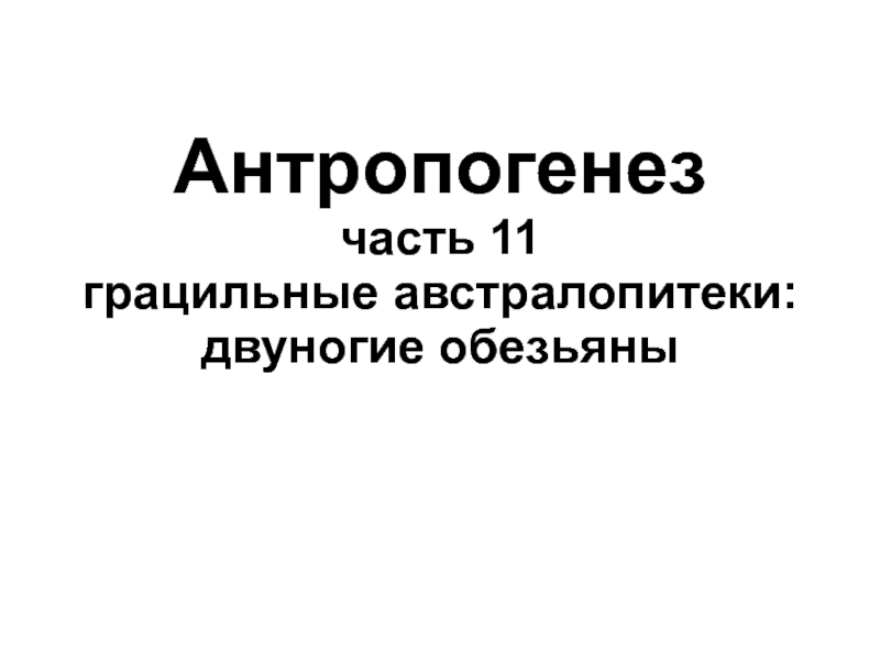 Презентация Антропогенез часть 11 грацильные австралопитеки: двуногие обезьяны