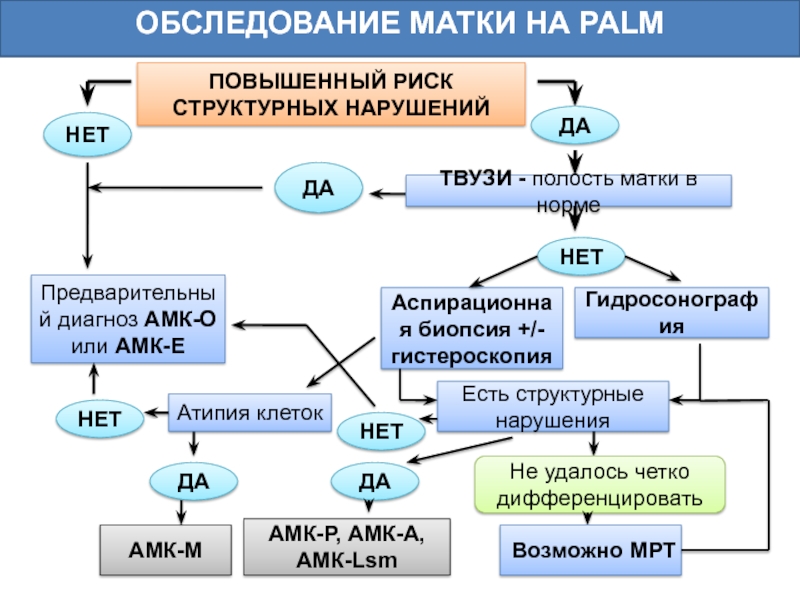 Амк гинекология презентация