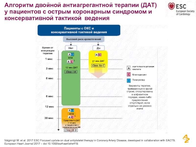 Двойная антиагрегантная терапия