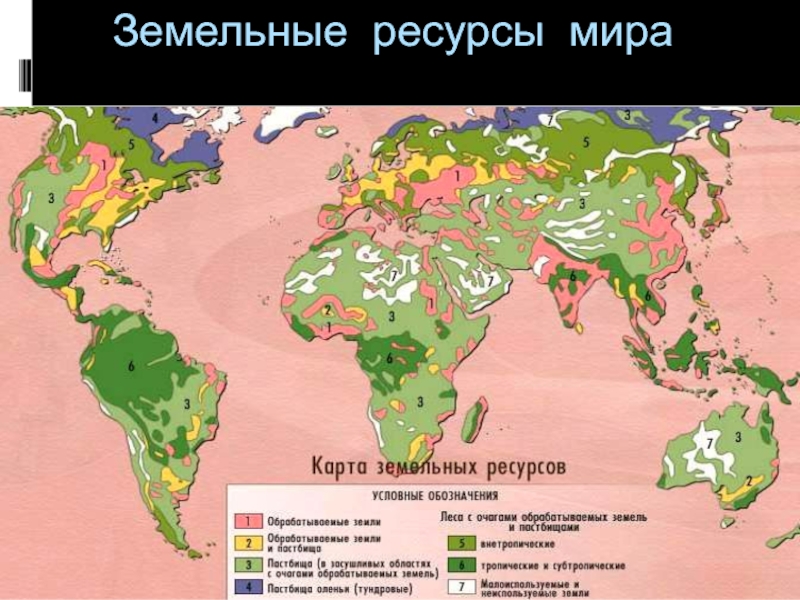 Карта сельского хозяйства мира