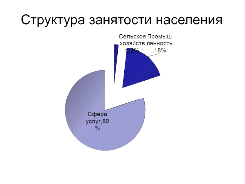 Занятость населения екатеринбург. Структура занятости. Занятость населения Швейцарии. Структура занятости населения Швейцарии. Структура занятости Австралии.