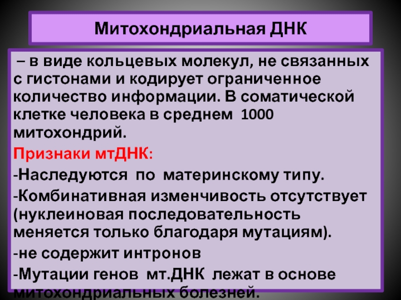 Митохондриальная днк. Ядерная и митохондриальная ДНК. Молекула митохондриальной ДНК. Отличия ядерной ДНК от митохондриальной.