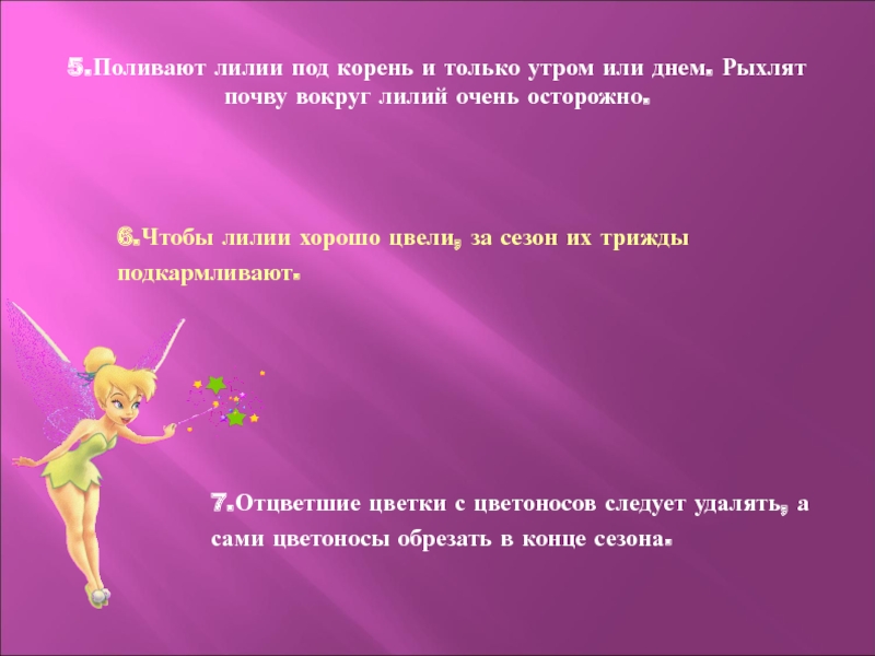 5.Поливают лилии под корень и только утром или днем. Рыхлят почву вокруг лилий очень осторожно.6.Чтобы лилии хорошо