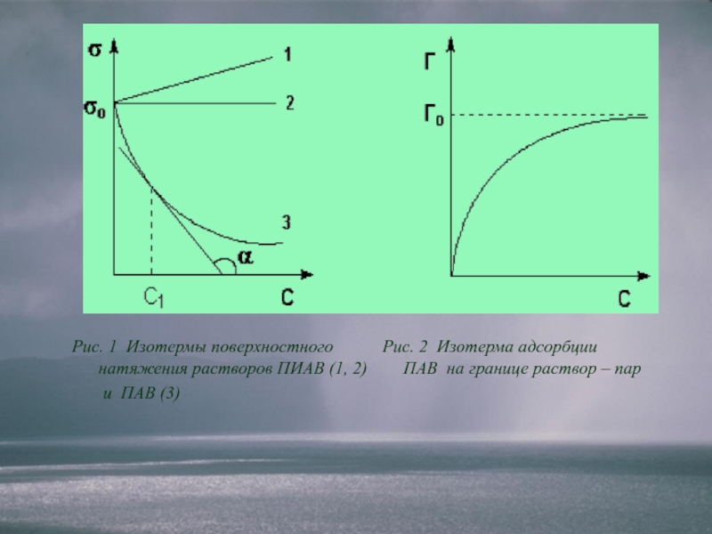 Что такое изотерма. Изотерма адсорбции пиав. Изобразите схемы и изотермы адсорбции пав и пиав.. Изотерма поверхностного натяжения для пив. Изотерма поверхностного натяжения растворов.