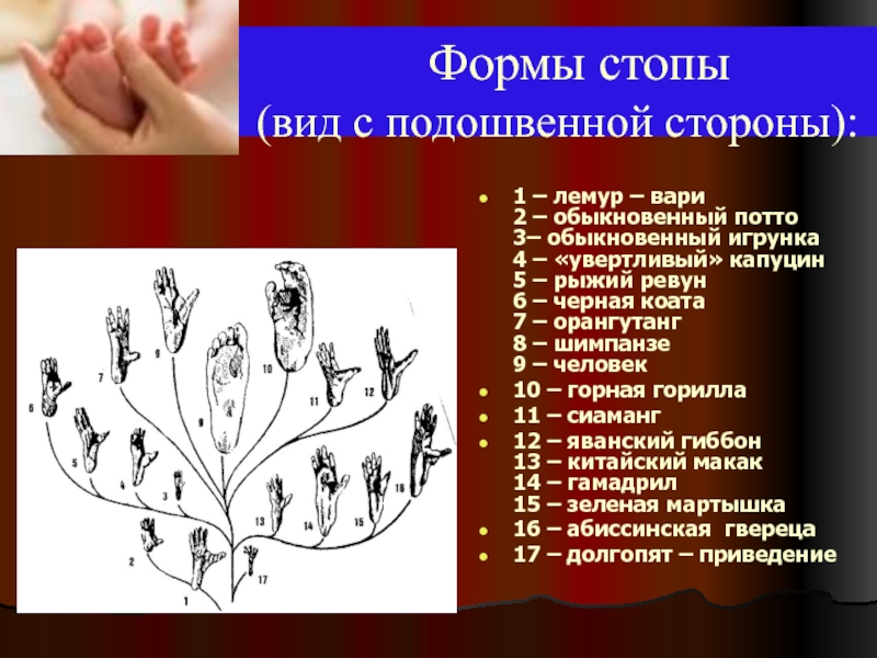 Судьба человека духовные ценности. Форма стопы виды. Форма стопы. Рисунок на тему духовная ценность.