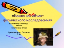 Кошка как объект физического исследования