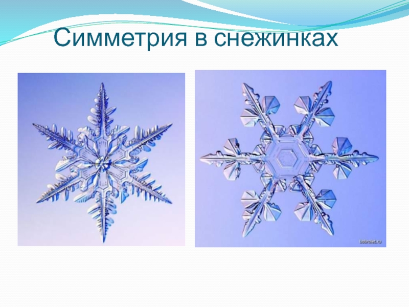 Симметрия снежинки. Симметрия в природе Снежинка. Осевая симметрия Снежинка. Центральная симметрия Снежинка.