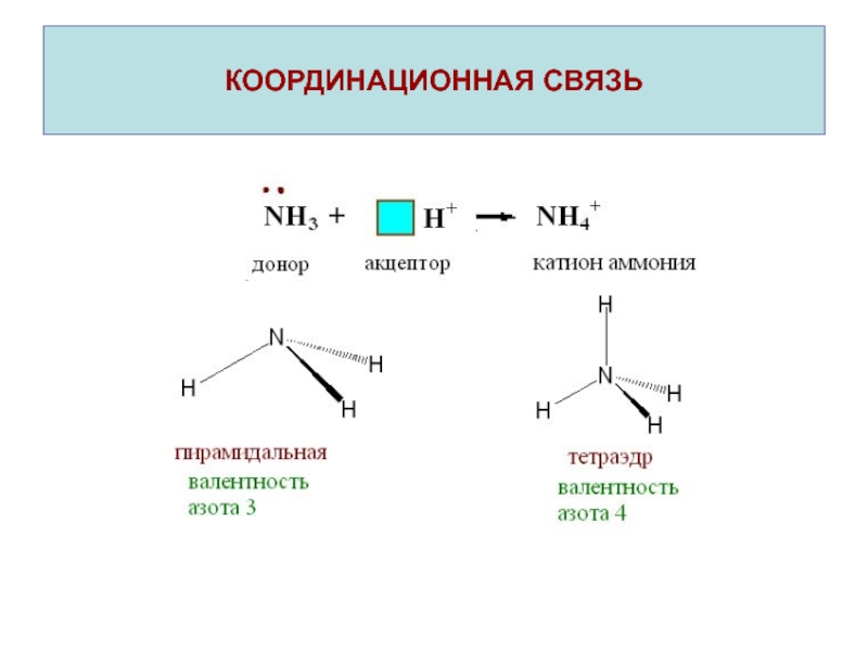 Координационная связь схема