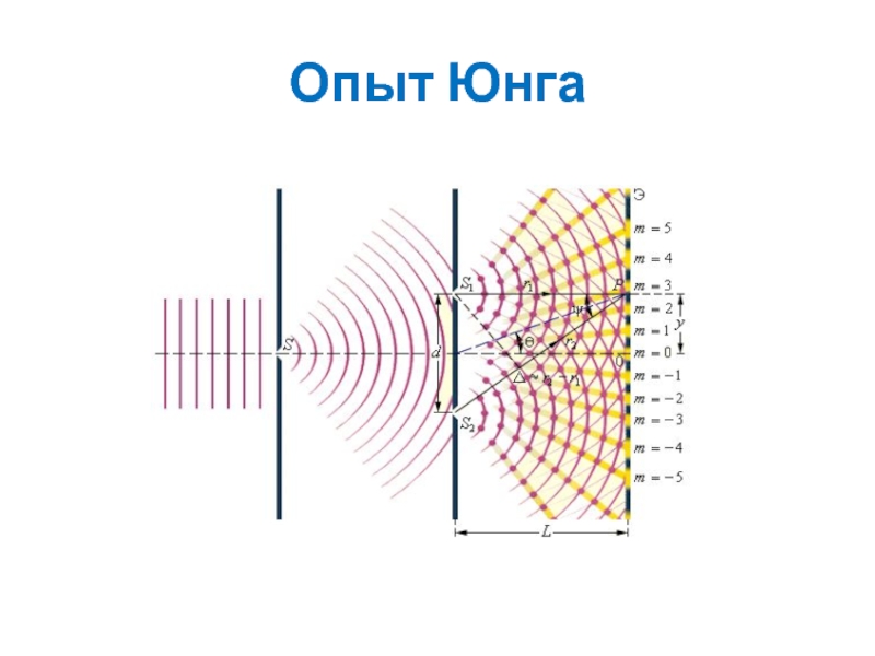 Опыт юнга рисунок