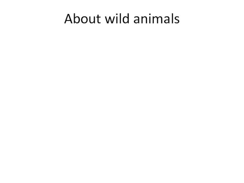 About wild animals