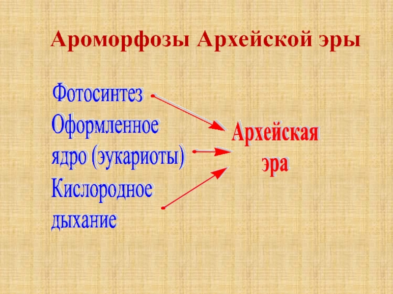 Какие ароморфозы возникли в архейскую и протерозойскую эры заполните схему