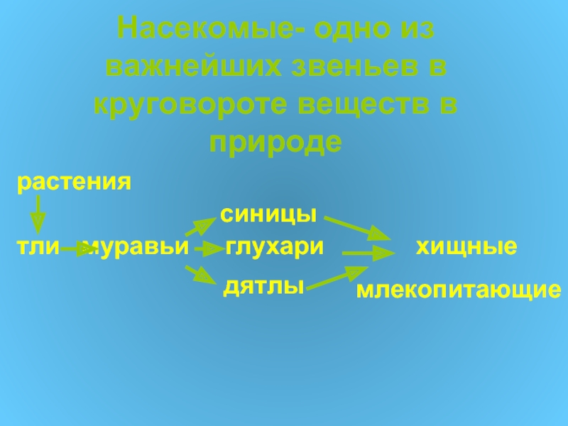 Круговорот насекомых в природе. Звенья круговорота веществ. Многообразие и значение насекомых в биоценозах. Почему насекомые являются важным звеном в природе?.